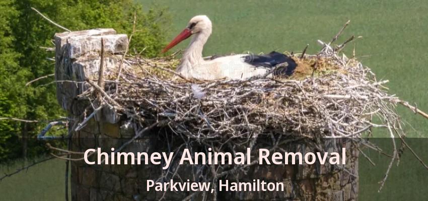 Chimney Animal Removal Parkview, Hamilton - ON