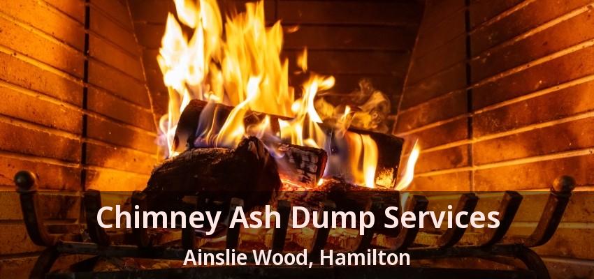 Chimney Ash Dump Services Ainslie Wood, Hamilton - ON