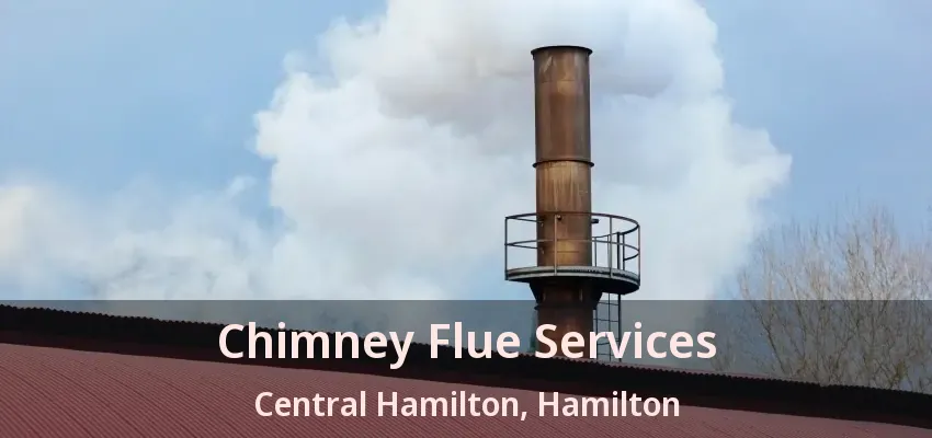 Chimney Flue Services Central Hamilton, Hamilton - ON