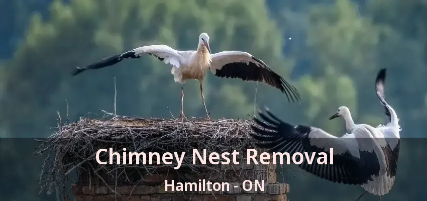 Chimney Nest Removal Hamilton - ON