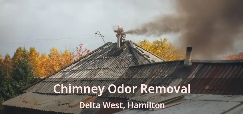 Chimney Odor Removal Delta West, Hamilton - ON
