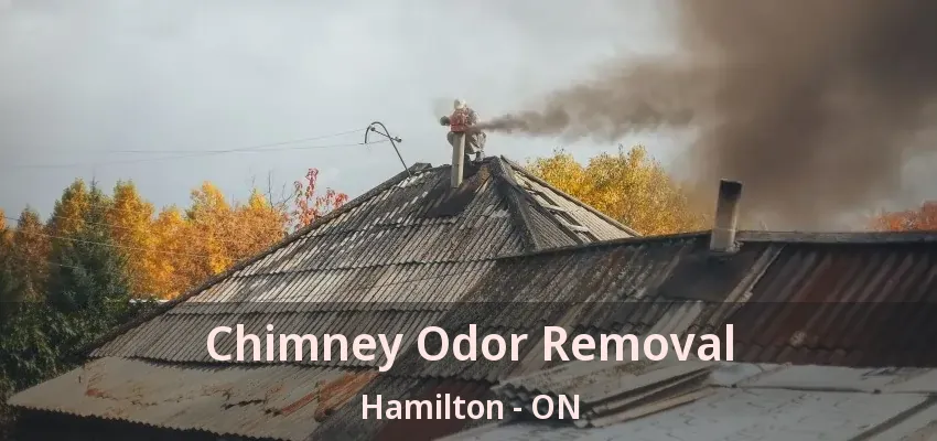 Chimney Odor Removal Hamilton - ON