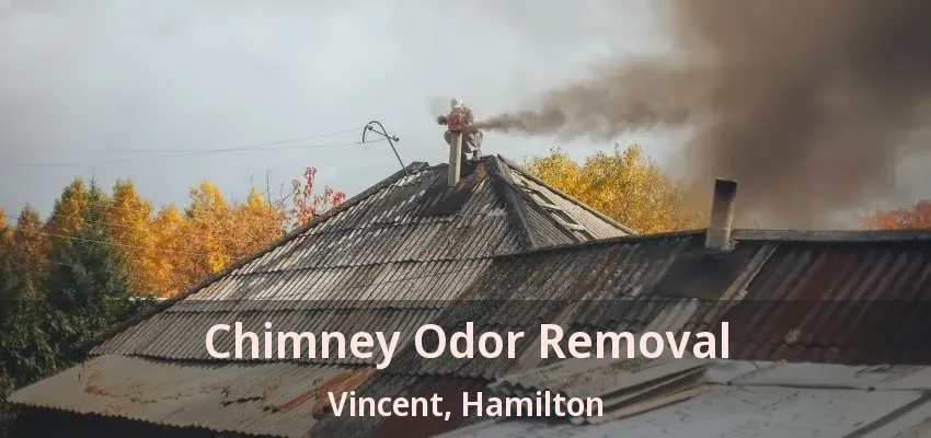 Chimney Odor Removal Vincent, Hamilton - ON