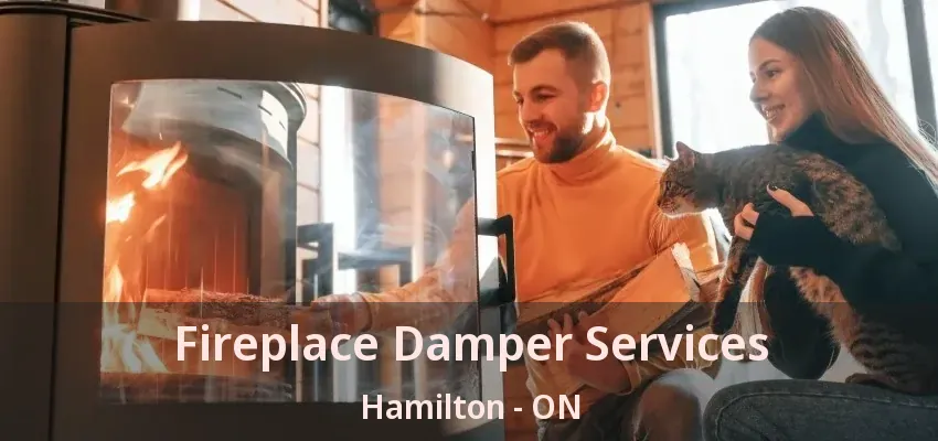 Fireplace Damper Services Hamilton - ON