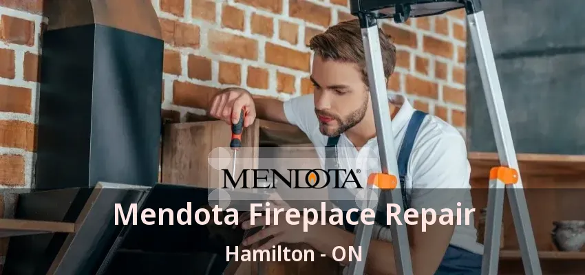 Mendota Fireplace Repair Hamilton - ON