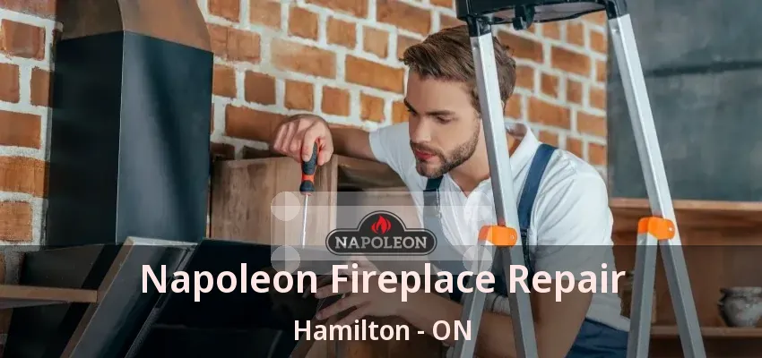 Napoleon Fireplace Repair Hamilton - ON