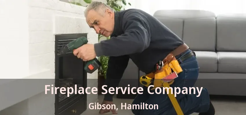 Fireplace Service Company Gibson, Hamilton - ON