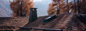 Chimney Animal Removal Grayside, Hamilton