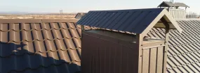 Chimney Cap Services Red Hill, Hamilton