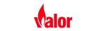 Valor Napoleon Fireplace Repair in Hamilton